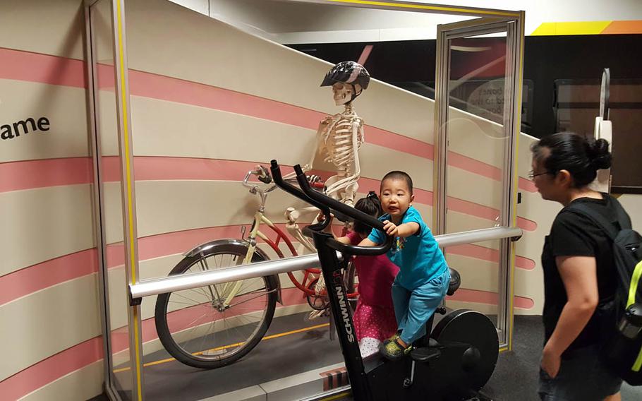 A visitor at the Hawaii Children's Discovery Center in Honolulu pedals beside a skeletal workout partner at one of the "Fantastic You" interactive displays that help kids understand how the human body works.