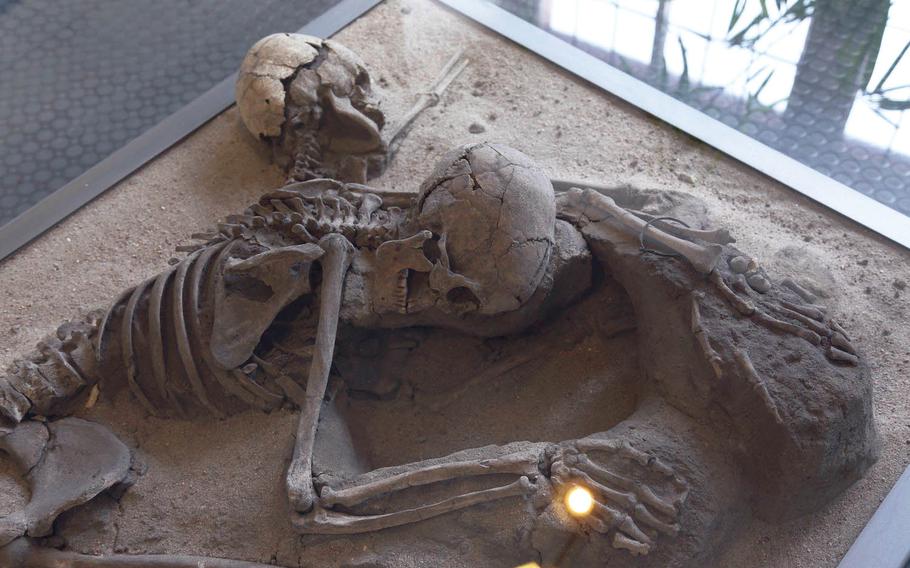 The skeletal remains of a woman and child in the Worms Museum in the Andreasstift. The pair were discovered during excavations in Worms. According to the museum, the woman is in her mid-20s and the child is about 5.