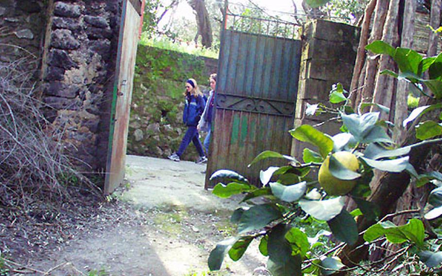 People on a Morale, Welfare and Recreation trip to Sorrento, Italy, walk past a lemon grove. Sorrento, known as "the land of the lemon," is famous for its limoncello.