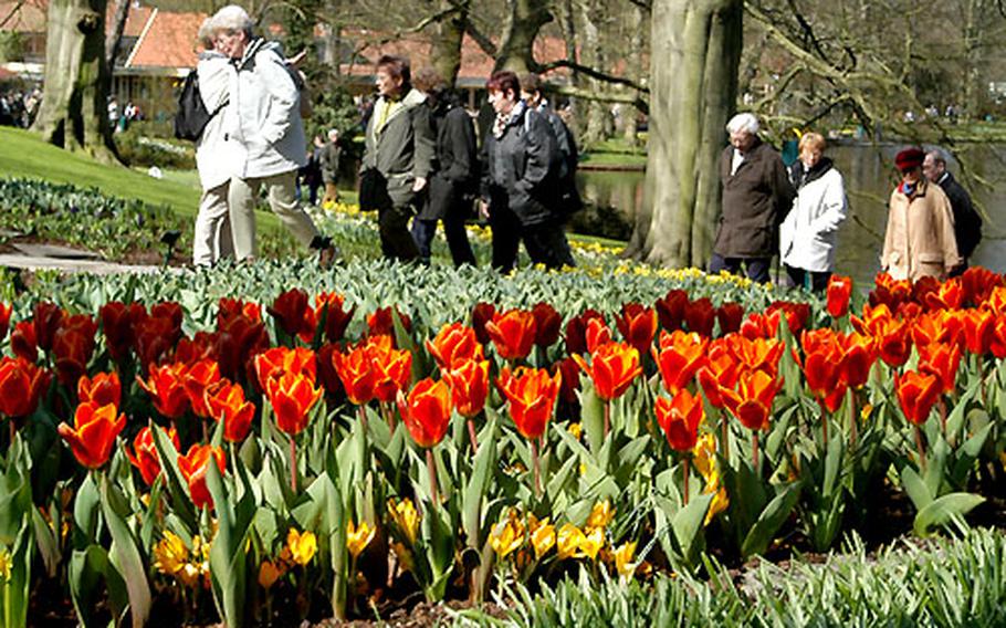 Visitors walk the paths of Keukenhof gardens. The Netherlands&#39; famed flower show is open until May 18.