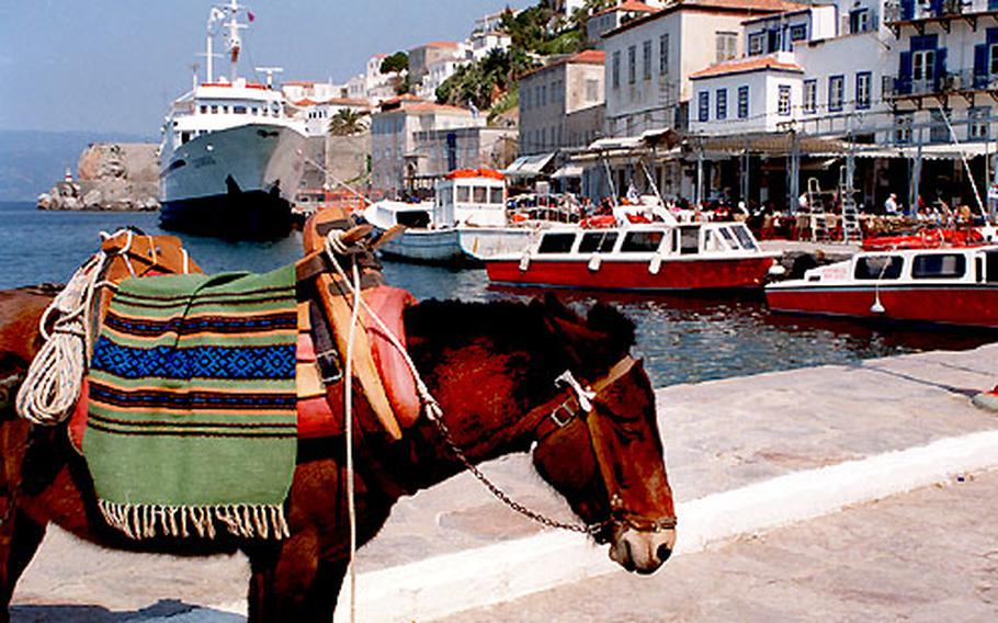 Since there are no cars on the Greek island of Hydra, donkeys await to fill your traveling needs.