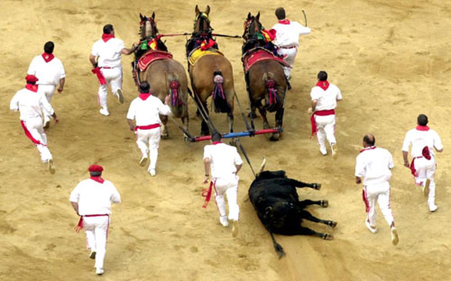 A dead bull is dragged from the bullring at one of the daily bullfights at the San Fermin Fiesta in Pamplona, Spain, last year.