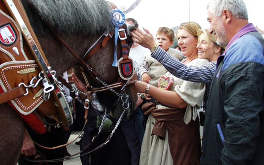 Heavy horses pulled in the beer kegs on Octoberfest&#39;s opening day parade, then stuck around to get some attention from an adoring crowd.