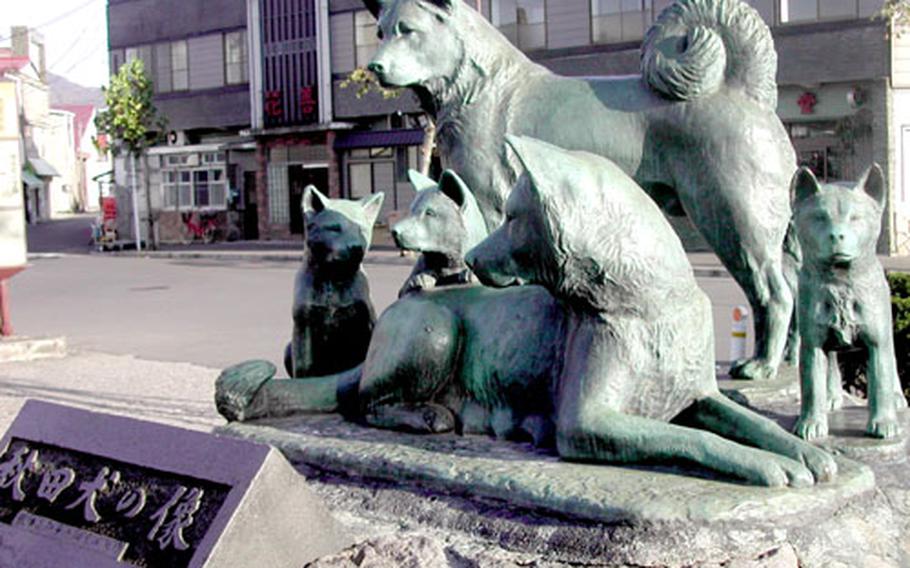 A bronze statue of Akita dogs in front of the Japan Railway&#39;s Odate station.