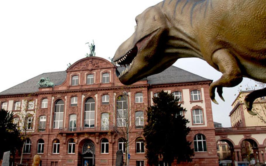 A life-size model of a tyrannosaurus stands in front of the Senckenberg natural history museum in Frankfurt, Germany.