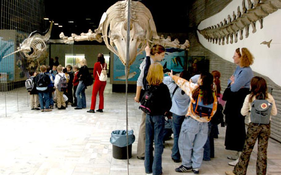 Kids check out the skeletons of two whales, a Narwhal at left and a killer whale at right.