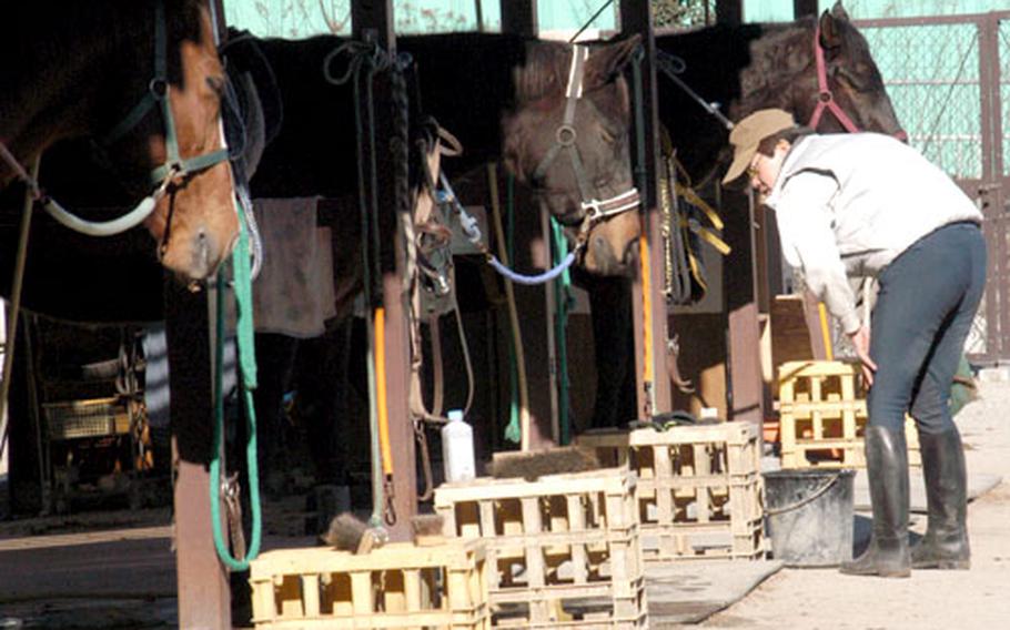 Caretaker Kenichi Isoda inspects some of the horses available for rides or lessons at the recreation area.