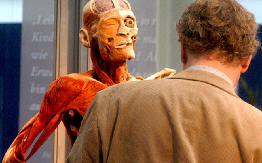 Two humans (one plastinized) look at each other at the "Körperwelten" exhibition.
