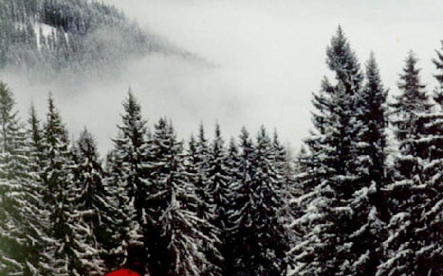 Skiing a trail through the towering snow-covered pines is a delight at Zell am See.