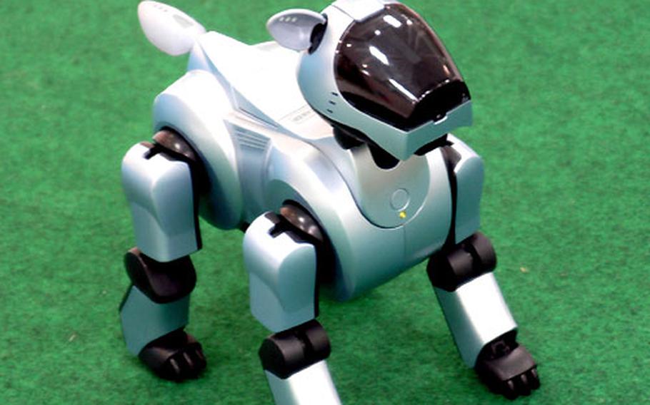 AIBO, a robotic dog, waits at Robosquare in Fukuoka for a visitor to play with. The dogs are controlled by computers and joysticks which people maneuver to play soccer.