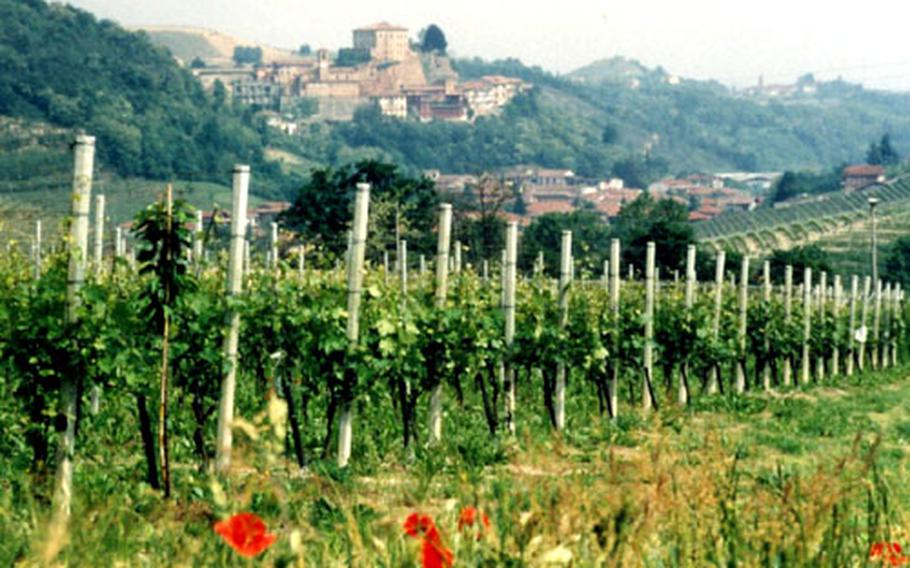 Vineyards cover the hills of Piedmont, Italy’s westernmost province, which borders Switzerland and France.