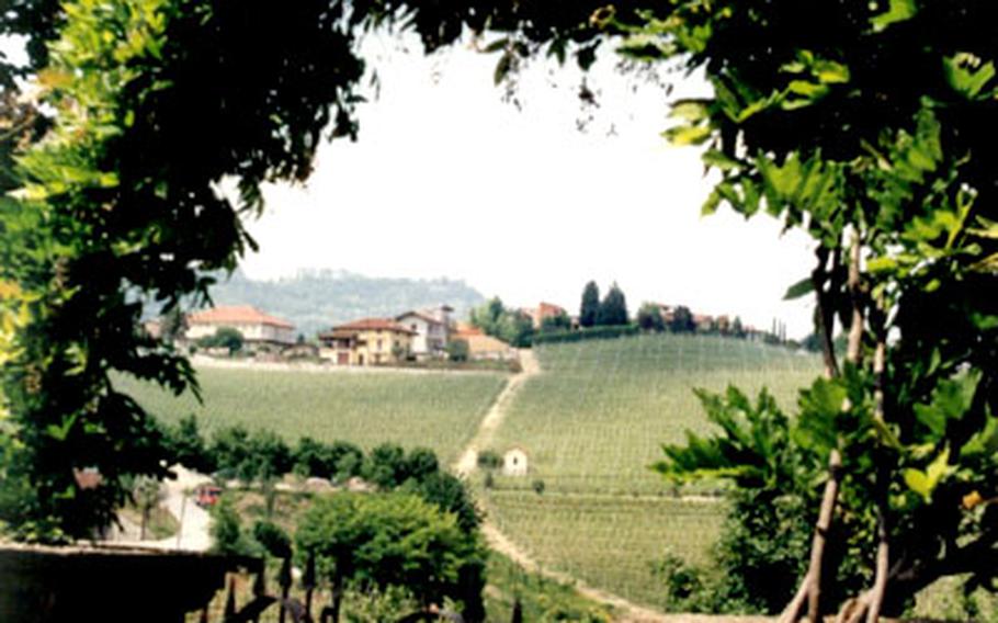 Grapevines that produce Piedmont wines cover the hills surrounding the La Luna e i Falo bed and breakfast.