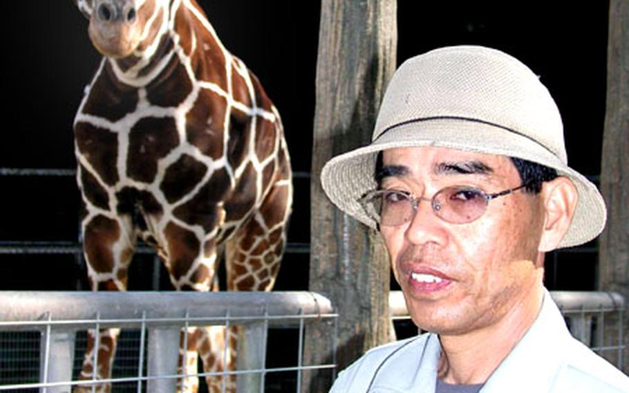Rintoshi Kadekaru has been taking care of giraffes in the zoo for 26 years.