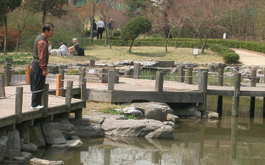 A man stares at the carp pond in Namsan Park. Winding paths in the lower part of the park have a variety of flora and fauna.