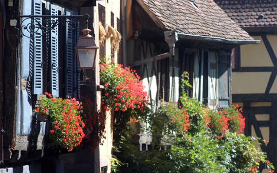 The colorful houses of Riquewihr, an old walled city in the heart of the Alsatian wine-producing country.