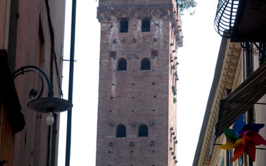 Like many cities in the Italian region of Tuscany, Lucca has a tower from which visitors can take in views of the surrounding area. But the Guinigi Tower also has trees growing on top.