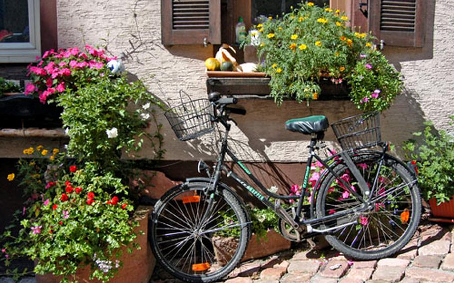 Hirschhorn, with its flowerpot-decorated cobblestone streets and its towering castle, is a nice place to spend a day.