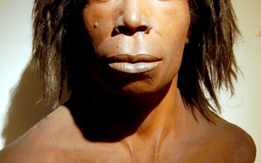 At the evolution of man exhibit in the Hessisches Landesmuseum in Darmstadt, a model of how a Neanderthal might have looked.