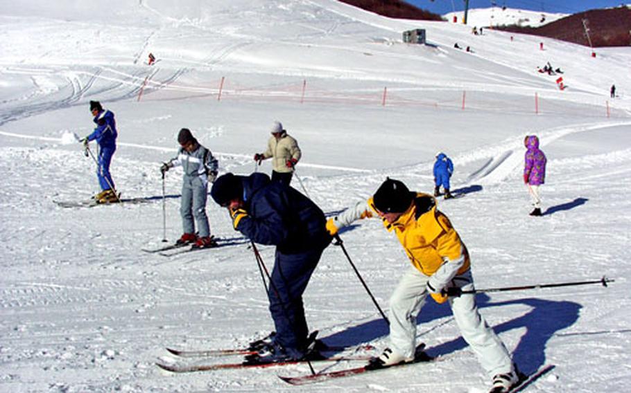 Moselle, left, on skis for the first time, gets pointers from Ellison.