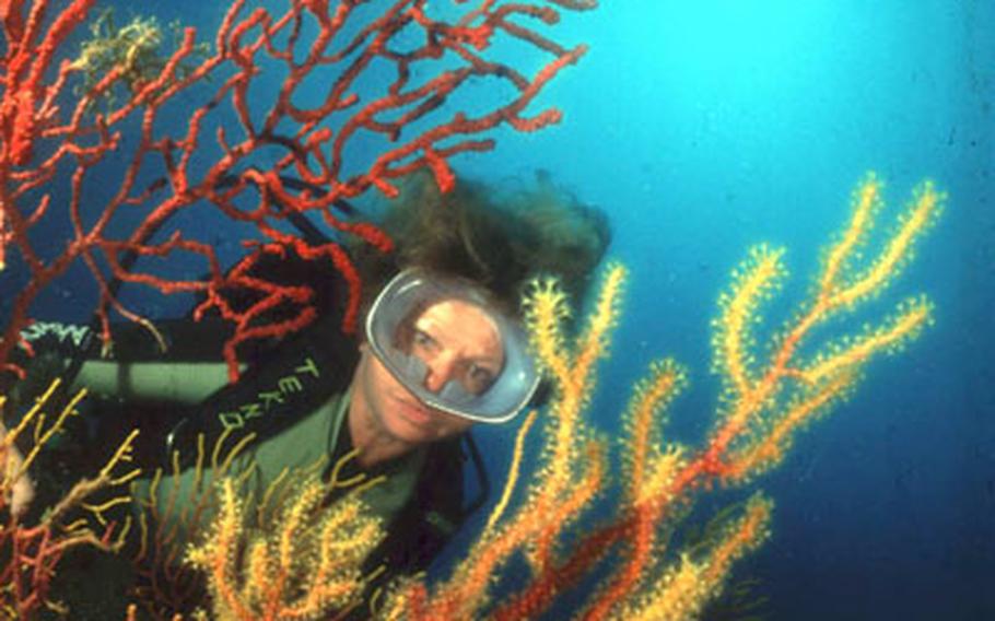 A diver peeks out from among sea life. The water around the small cluster of islands known as the Islas Medas, off Spain’s Costa Brava, are popular with divers and other visitors looking for solitude.