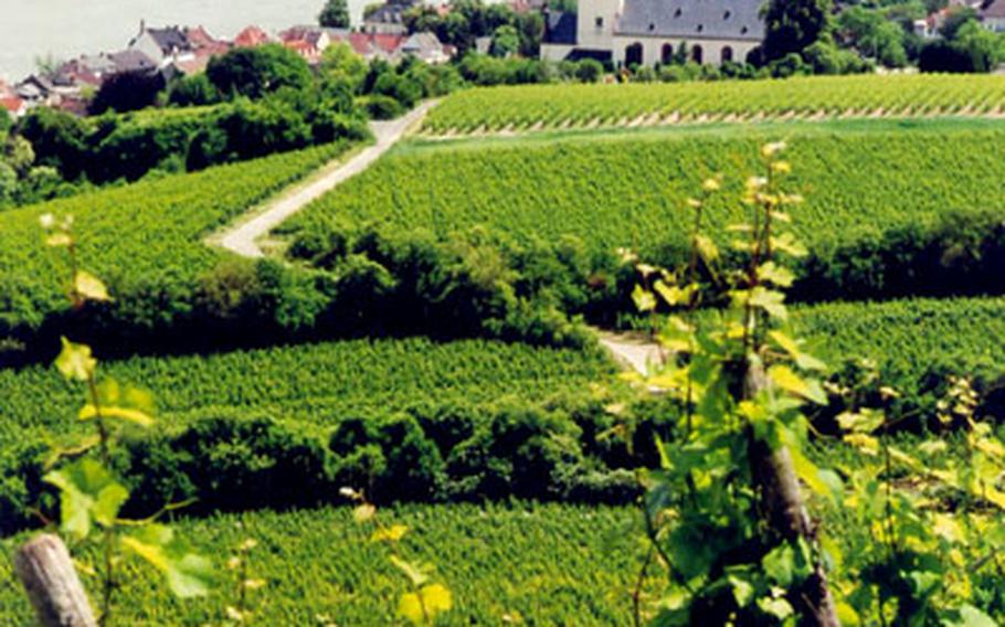 Vineyards blanket slopes by the Rhine River in Germany. Most of the country&#39;s 13 wine regions are along the Rhine and its tributaries.