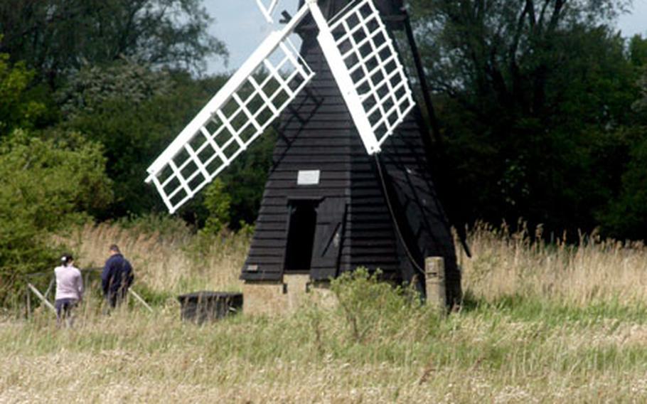 Windmills were used to pump water from the fens during the last century. Wicken Fen is a final remnant of that broad landscape, home to hundreds of species of plants, insects and birds.