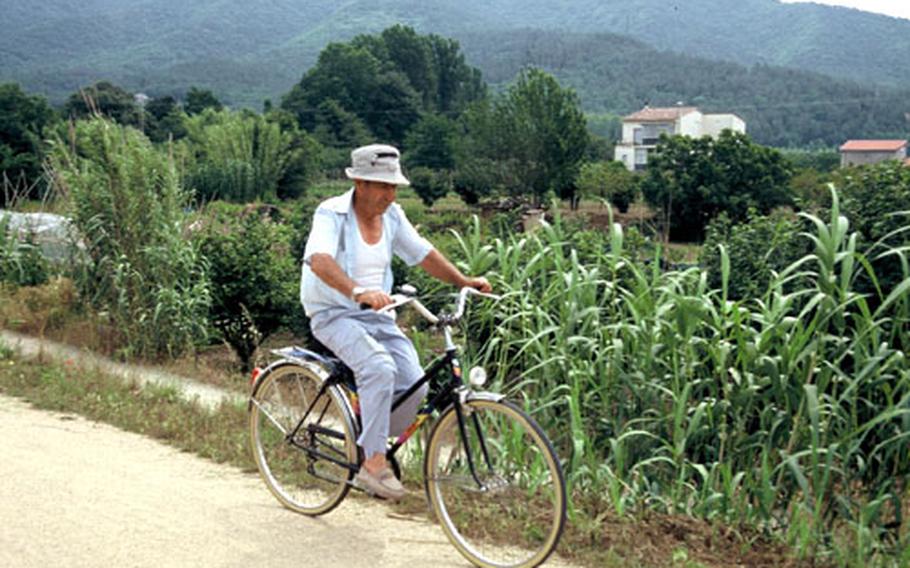 The Ruta del Carrilet between Anglès and Girona, Spain, passes farm fields and serves as a throughway for a farmer on a bike off to check on his corn crop.