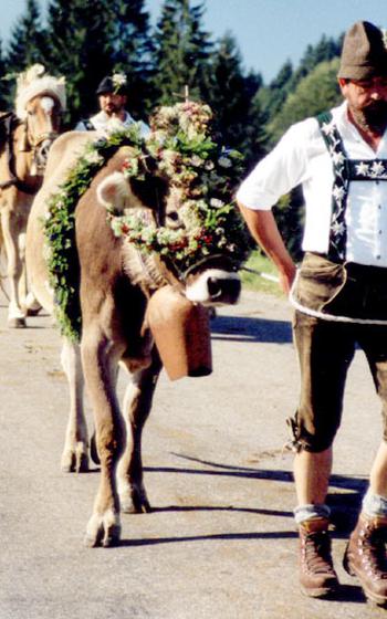 The  gets the honor of wearing especially elaborate décor at the Viehscheid, a traditional folklore festival in the village of Weissach in southern Germany’s Allgäu region.