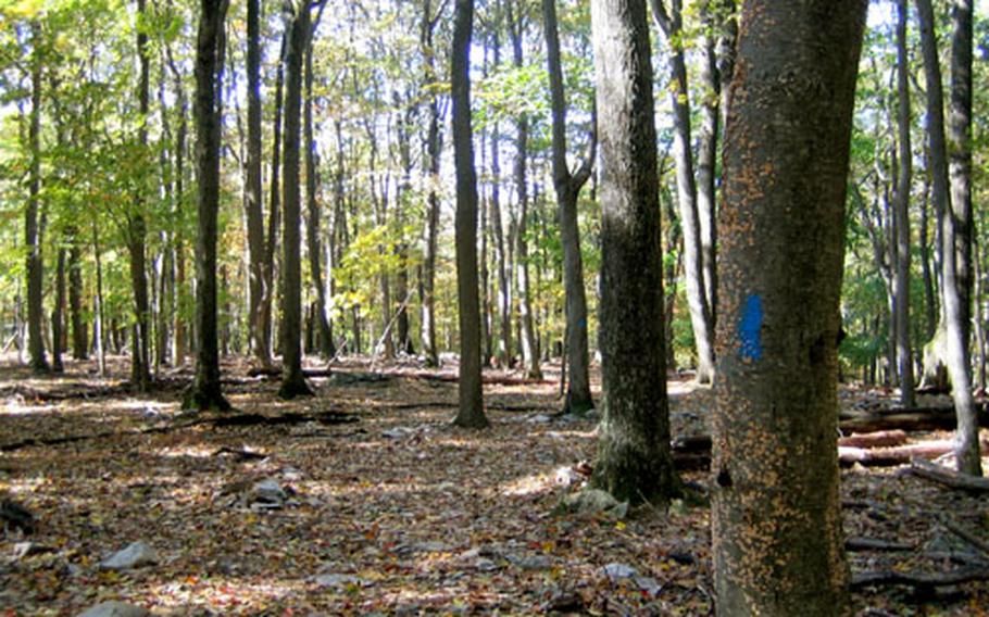 A hush in the forest of Catoctin Mountain Park, which offers 25 miles of hiking trails all year, is broken only by the sound of leaves crunching underfoot.