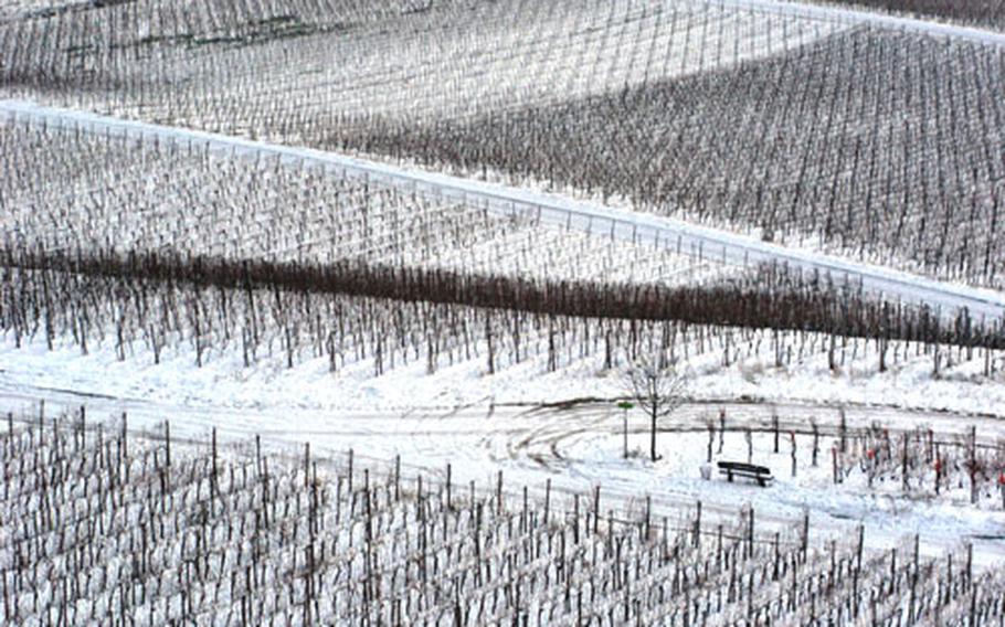 The vineyards of Rüdesheim form a stark graphic pattern in the snow.