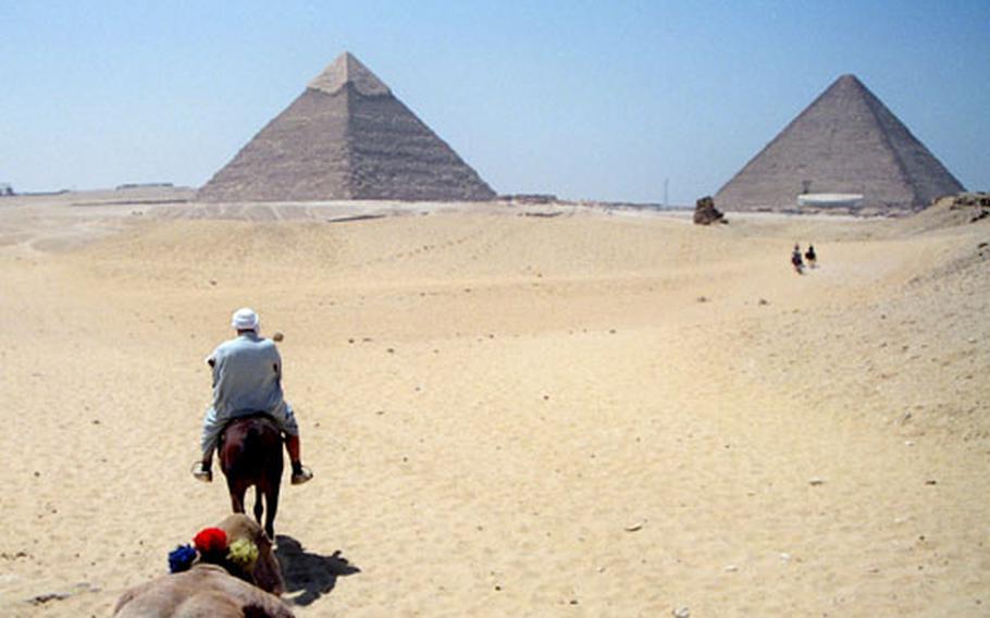 The view tourists have from the back of a camel as they approach the Great Pyramids at Giza from the back way.