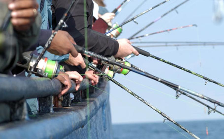 Fishermen raise and lower their rods to entice fish into taking their lures during a fishing trip aboard the M.S. Maria on the North Sea.