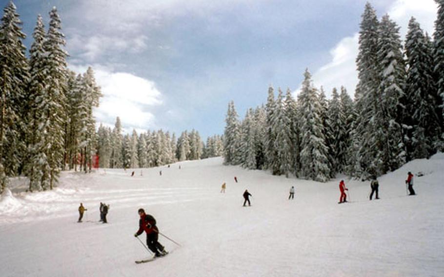 Skiing through the pine forests at Bansko is a delight.