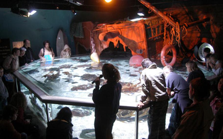 A Sea Life guide talks about the various crustaceans, rays and other fish living in one of the Speyer, Germany, aquarium’s main attractions. The aquarium showcases animal life in Germany’s waters.