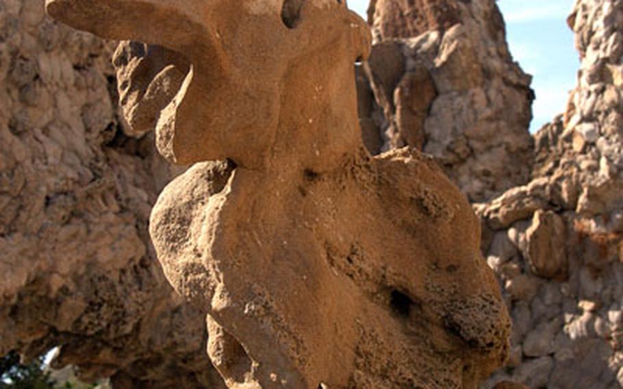 Two birds show the weird imagination of postman Ferdinand Cheval. They are part of his Palais Idéal, which he built by himself with odd stones he gathered while walking his mail route.