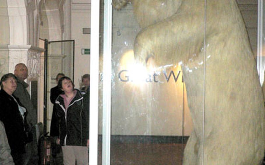 A stuffed polar bear towers above visitors to the Horniman Museum&#39;s "Great White Bear" exhibit. The bear is also featured in some photos in the gallery.