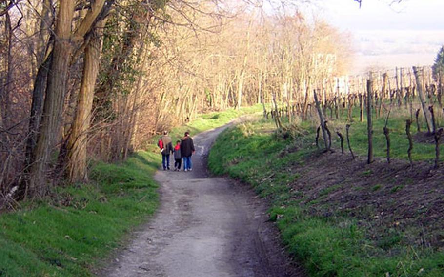 A family heads down the homestretch of a trail leading back to Chappelle St.-Sébastien. Woods are to their left, vineyards to the right, and the town of Dambach-la-Ville is straight ahead.