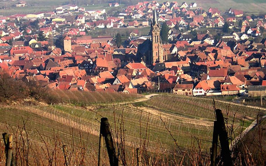 The town of Dambach-la-Ville sits on a hillside, surrounded by vineyards. The steeple in the middle belongs to a 19th-century church, and one of the remaining medieval gate towers is at left.