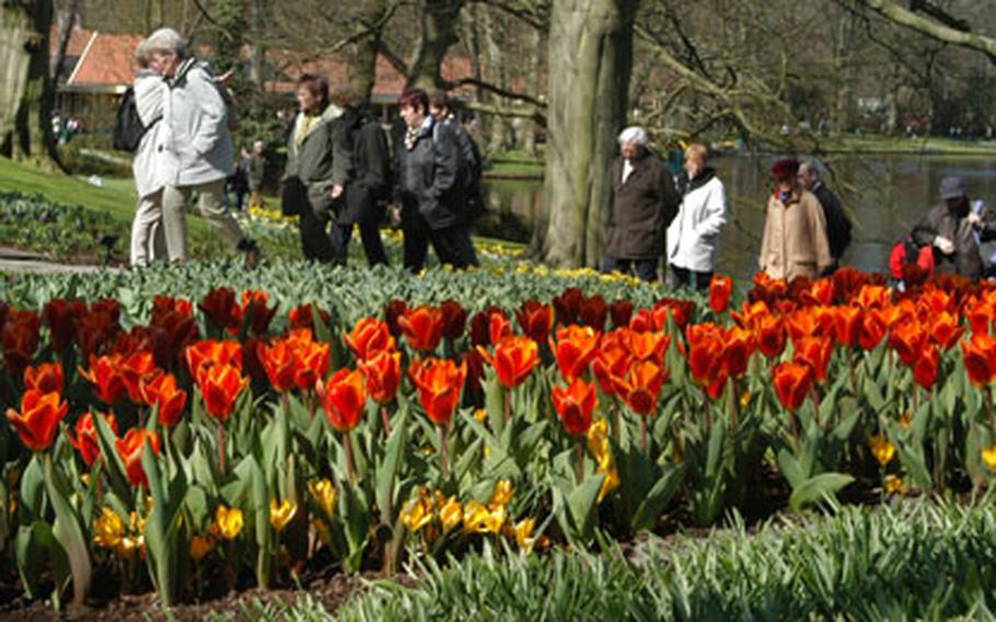 Visitors walk the paths of Keukenhof gardens. The Netherlands&#39; famed flower show is open until May 18.