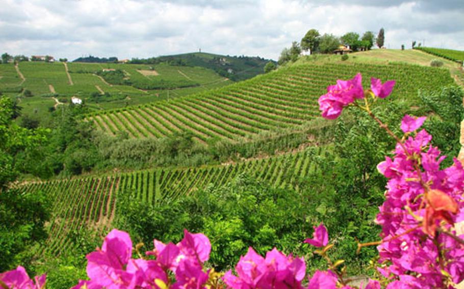 An agriturismo stay gets you out of the city and into the lush countryside in any of Italy’s 20 different regions.