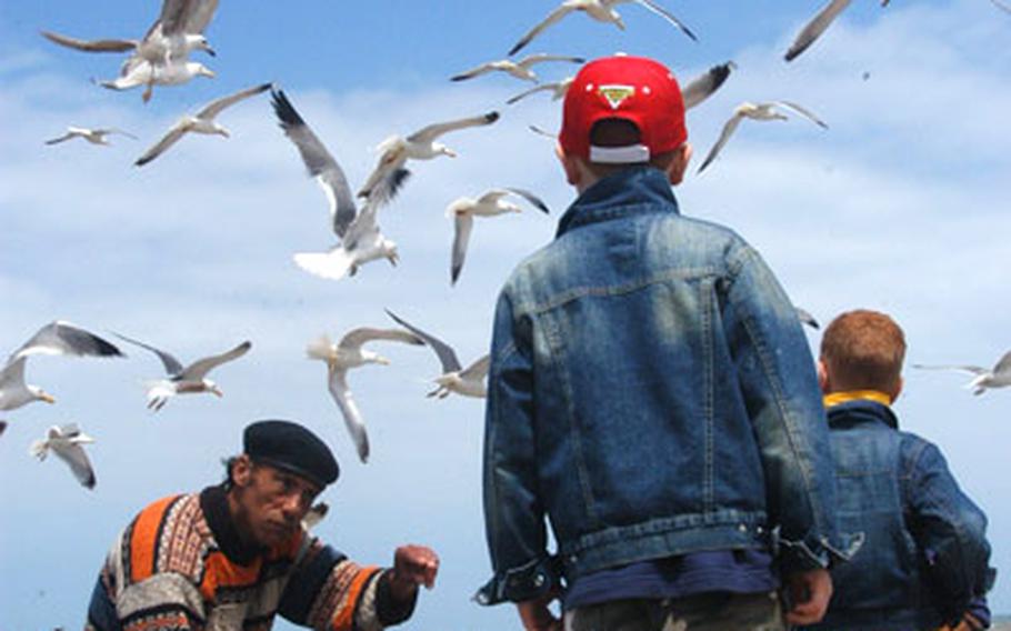 A man cleaning fish talks with some curious boys near the docks in Essaouira.