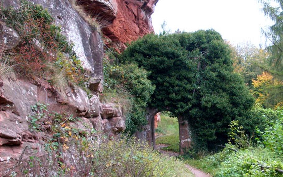 The ruins of Fleckenstein Castle stand on a rocky spur surrounded by trees in the Parc Naturel Régional des Vosges du Nord. The castle dates to the 12th century.