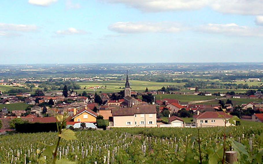 The vineyards surrounding Fleurie yield about 30% of the Beaujolais region’s wine.