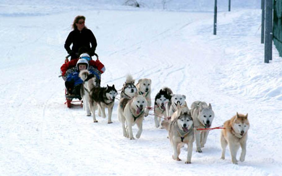 Eda Pizzolon and three children sled quickly over a snowy trek at Piancavallo, Italy, thanks to the efforts of a dozen dogs.