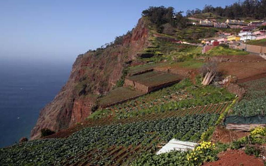 For the past 600 years, agriculture and horticulture have played an important role in the economy of the Ribeira Brava district on Madiera&#39;s southern coast is . Both depend on water brought down from the mountains by the network of levada channels.