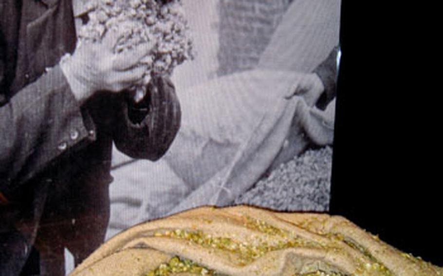 A photo shows an old man smelling a bouquet of hops while a satchel of the real thing rests below at the Hops Museum.