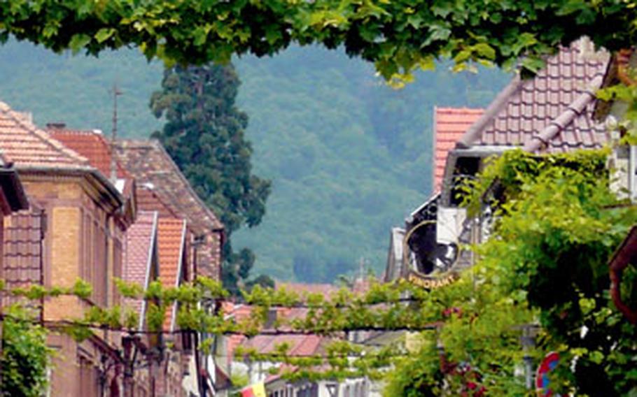 A cyclist travels down Theresienstrasse in Rhodt unter Rietburg, one of the many villages along the southern German Wine Road's bike path.