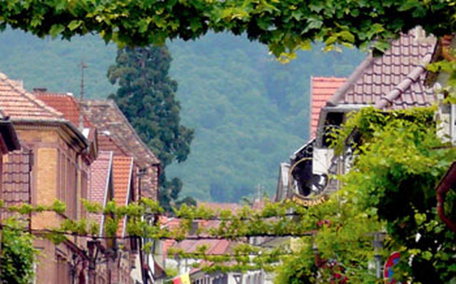 A cyclist travels down Theresienstrasse in Rhodt unter Rietburg, one of the many villages along the southern German Wine Road&#39;s bike path.