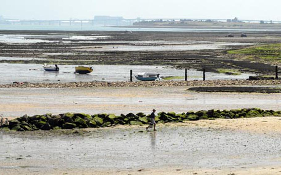During low tide off the coast of the village of St Martin de Re, locals collect the day&#39;s haul of fresh mussels while boats lie helpless in the mud. The mud flats stretch for miles at low tide on the Ile de Re.