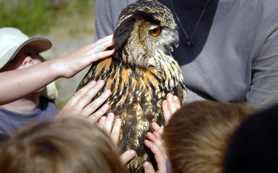 Kids gather around to pet an owl at the conclusion of the Falknerei bird show at Wildpark Potzberg.